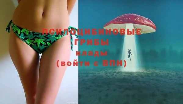 прущий лед Абаза