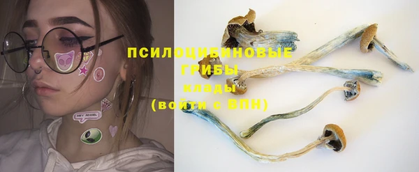 эйфоретик Алексин