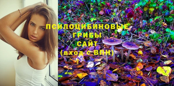 кокс Алексеевка