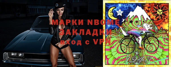 стафф Алзамай