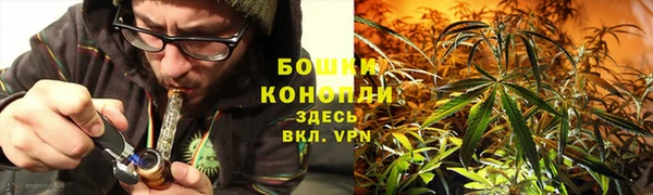 ГАЛЛЮЦИНОГЕННЫЕ ГРИБЫ Арсеньев