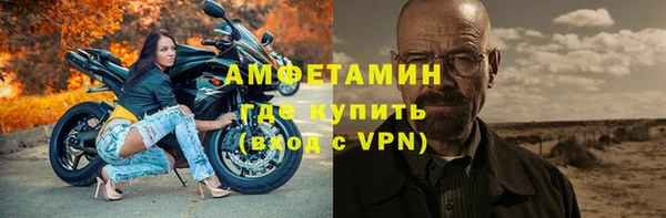 стафф Алзамай