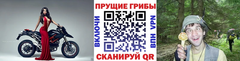 Галлюциногенные грибы Magic Shrooms  Болхов 
