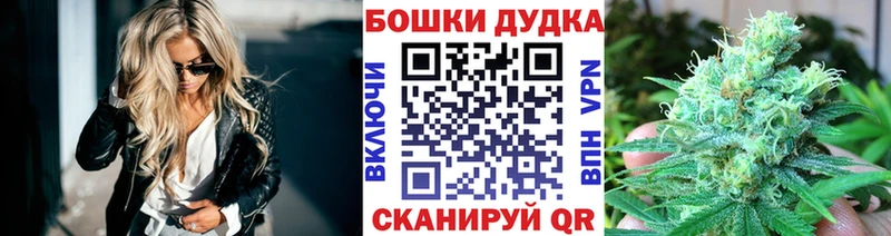 что такое   Болхов  Конопля семена 